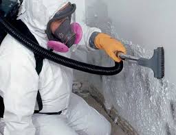 Best Comprehensive Air Testing for Mold Contaminants in Cottonwood Shores, TX